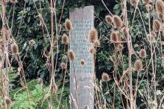 Thistles by Annie Macdonald