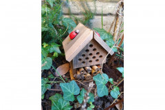 Bug hotel by Penny Woods