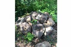 Dead wood log pyramid by Nicky Tindall