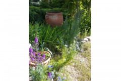 Wildlife garden by Melanie Hickford