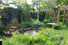 Garden pond by Judy Staines