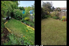 Garden before and after by Kristen Dorcey-Joyce
