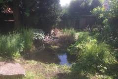 Garden pond by Mike Boots