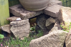 Hedgehog fence hole by Christopher Hunter