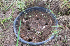 A home for ground-nesting bees by Doug Butterill