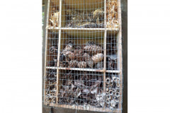 Insect hotel by Julie Upson