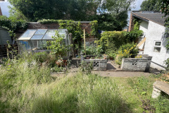 Wild garden by Dominic Cooper