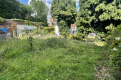 Wild garden by Dominic Cooper