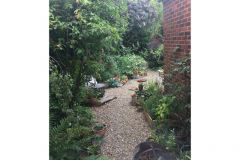 Wildlife friendly garden by Alison Turner