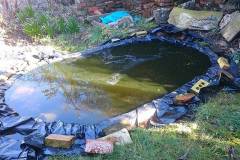 Pond by David Durant