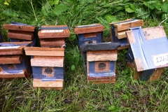 Dormouse houses being transported to reintroduction site