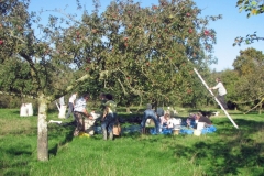 Apple Day in Lamyatt by Nick Mann