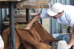 Apple Pressing by Chris Wedge