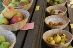 Apple day at Cotehele by Kate Merry