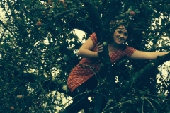 Apple Picking Plymtree Megan shaking tree