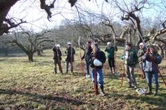 Polesaws at the ready by Kate Merry