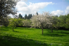 Spring at Bradenham Manor by Len Bernamont