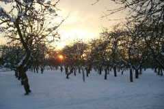 Winter Sunset by Joseph Fitzgerald