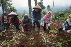 There are some truly wonderful women on the farms helping save the slow loris with us