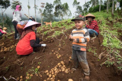 Farming is a vital way of life for so many families in Java, so getting their help and cooperation is really important to the success of the project