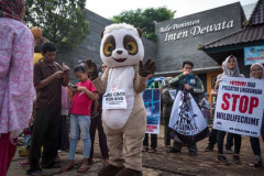 A really important part of outreach is to make people aware of the treatment slow lorises suffer as part of the illegal pet trade