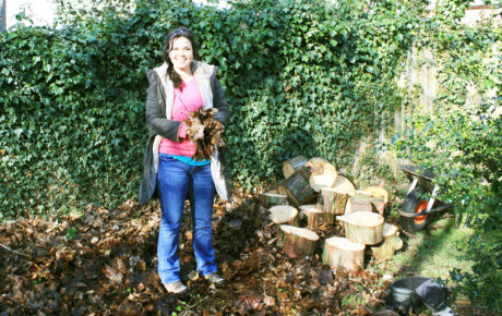 hedgehog champion alison creating log pile