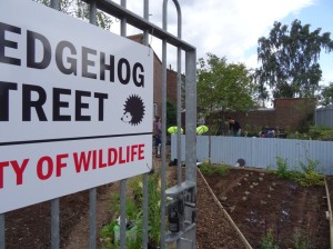 Paragon Hedgehog Street garden sign