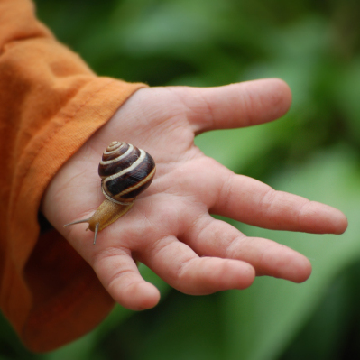 Kid holding snail by Shutterstock.com/forestmavka