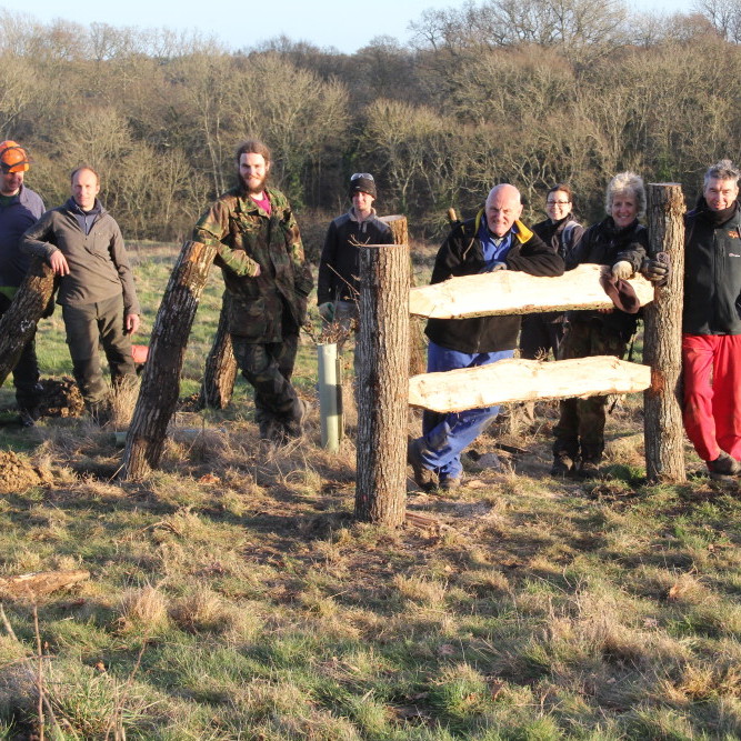 Making an oak tree cage at Briddlesford