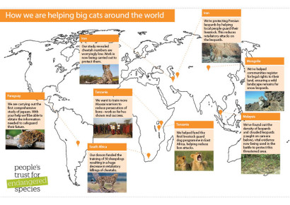 big cat project map - People's Trust for Endangered Species