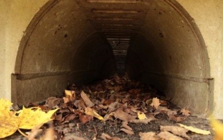 road tunnel Uk mammal grant project PTES
