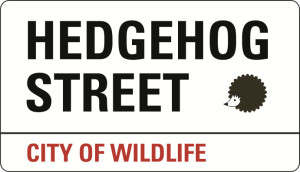Hedgehog Street logo