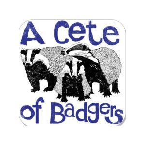 A-Cete-of-badgers-coaster-shadow-Joan-Morley-ptes