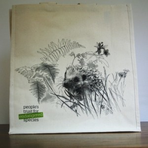 hedgehog canvas bag