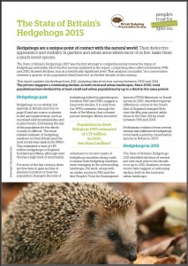 Thumbnail of the State of Britain's Hedgehogs 2015