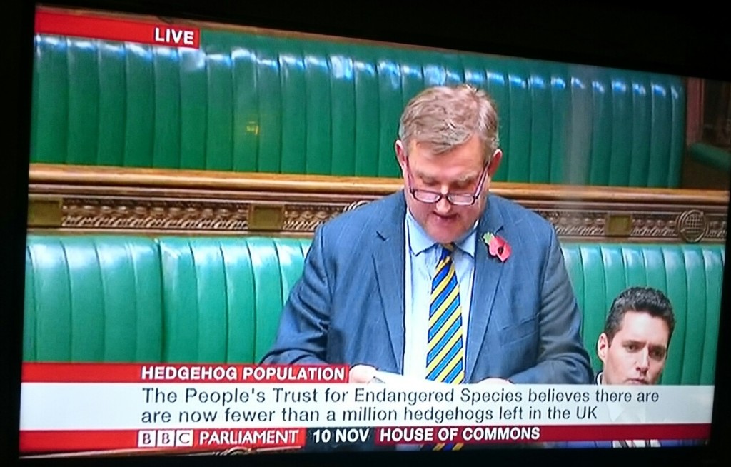 Oliver Colvile MP talking about hedgehogs in the House of Commons