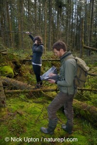 radio tracking pine martens by NICK UPTON