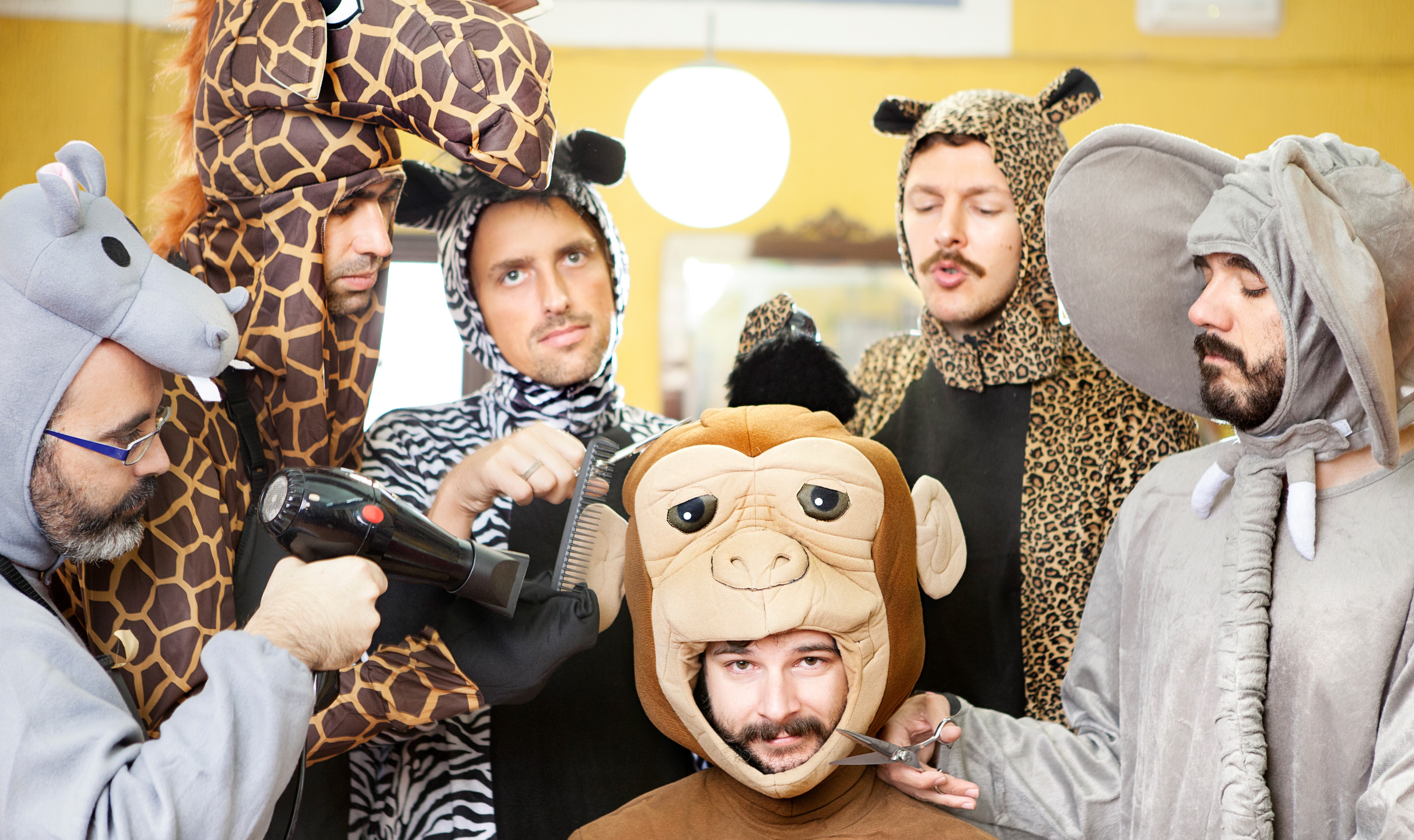 Monkey in Hair Salon Monkey in Hair Salon