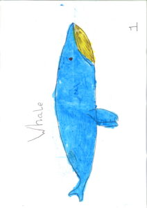 whale illustration by archie