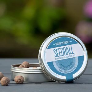 Seedball urban meadow PTES shop