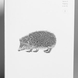 NoteBook+Hedgehog+front-creature-candy-ptes