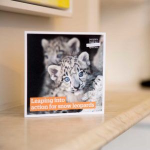 Gift-for-nature-PTES-Donation-gift-card-snow-leopards