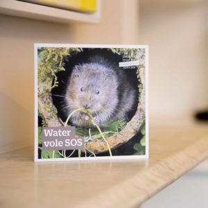 Gift-for-nature-PTES-Donation-gift-card-water-vole