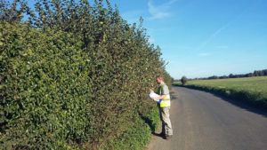 Moor-Abby-Farm-Hedgerow-Surveying-PTES
