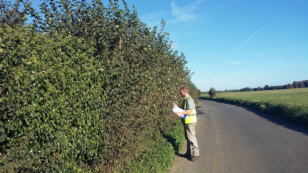 Moor-Abby-Farm-Hedgerows-Surveying-PTES