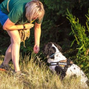 Henry the detection dog and handler Credit Louise Wilson / Conservation K9 Consultancy