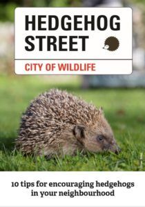 hedgehog-street-pdf-top-ten-tips