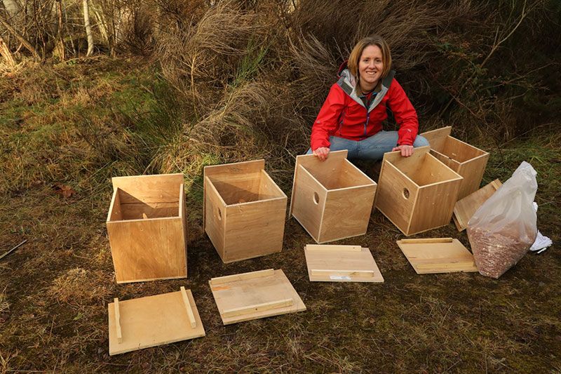 Becky-preparing-nest-boxes-for-transporting-red-squirrels-Trees-for-Life-UK-Mammal-Projects-Red-Squirrel