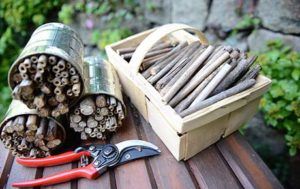 Bee-Insect-hotel-thumbnail-PTES-Wildlife-friendly-garden-kit