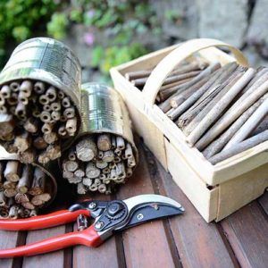 Bee-Insect-hotel-PTES---How-to-build-an-insect-hotel---Wildlife-friendly-garden-appeal